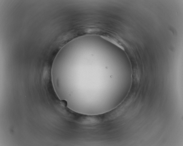 X0000114010475200910161737