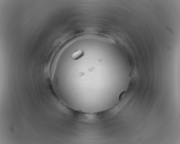 X0000114010478200910161737