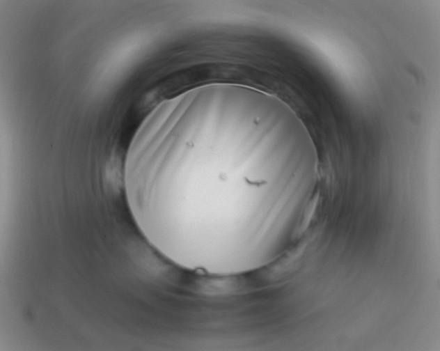 X0000114010479200910161737