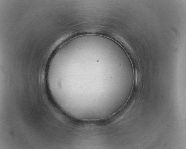 X0000114010483200910161737