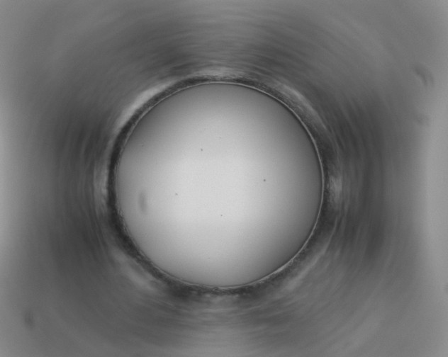 X0000114010484200910161737