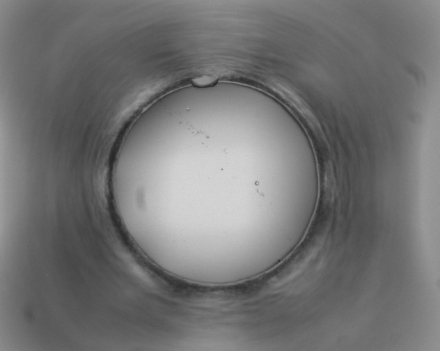 X0000114010485200910161737