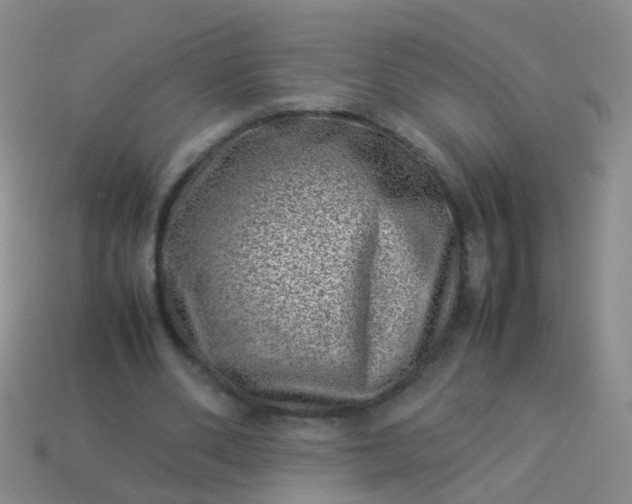 X0000114010486200910161737