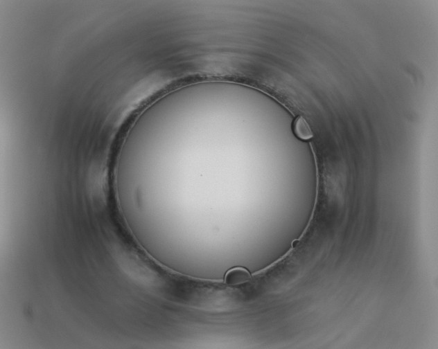 X0000114010488200910161737