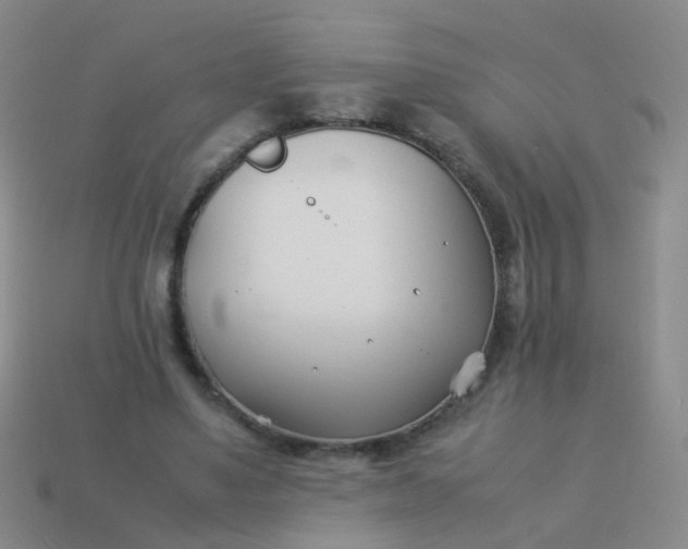 X0000114010491200910161737