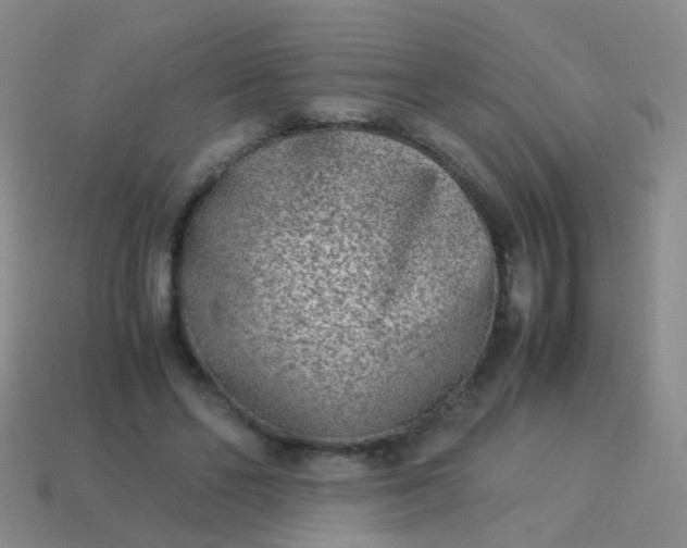 X0000114010494200910161737