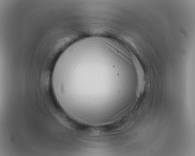 X0000114010495200910161737