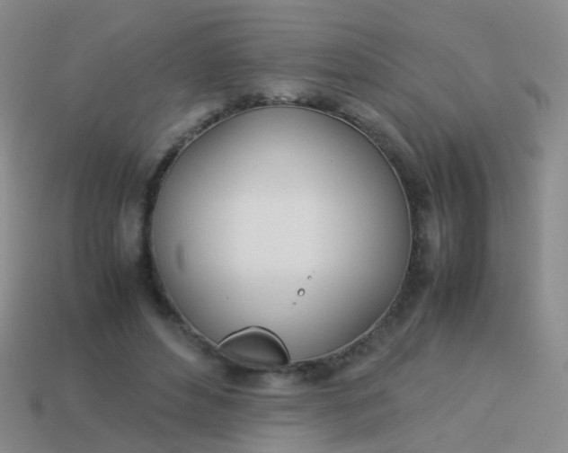 X0000114010496200910161737