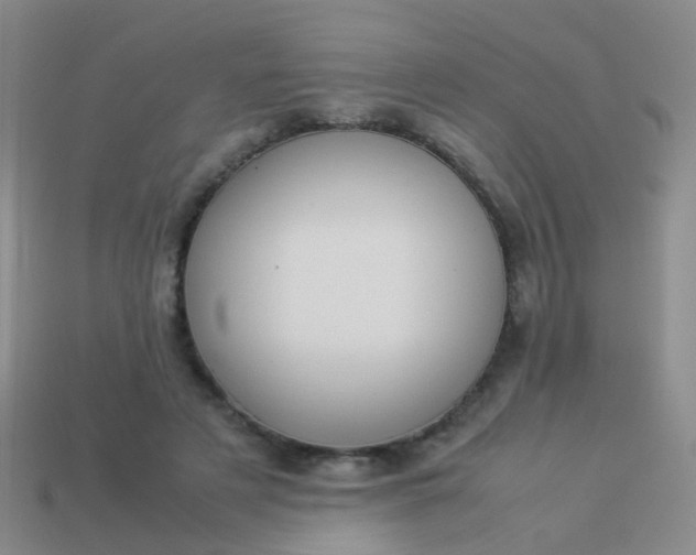 X0000114010497200910161737