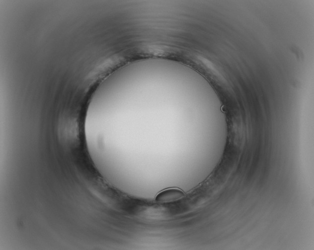 X0000114010500200910161736