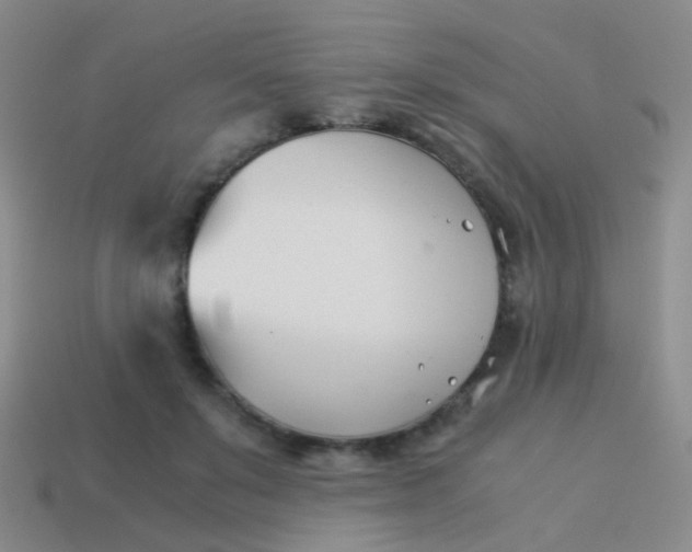 X0000114010503200910161736