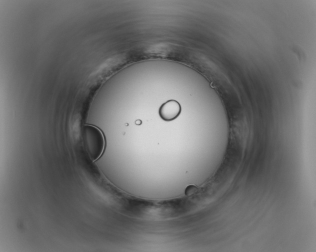 X0000114010504200910161736