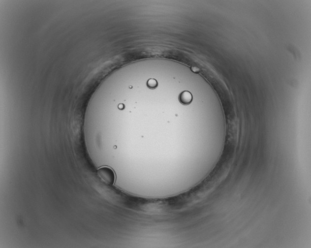 X0000114010505200910161736