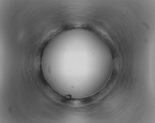 X0000114010509200910161736