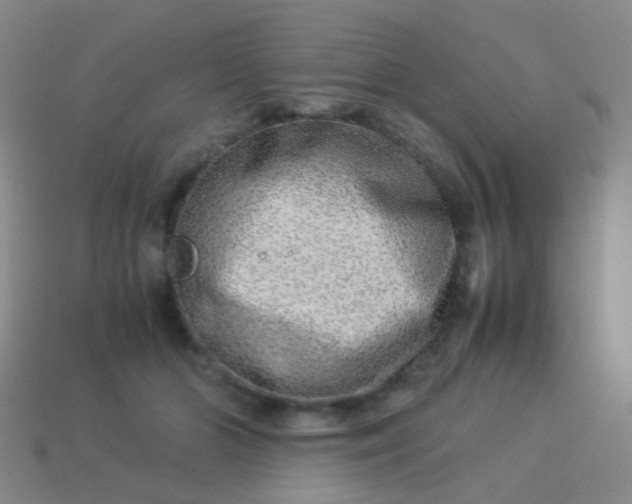 X0000114010510200910161736