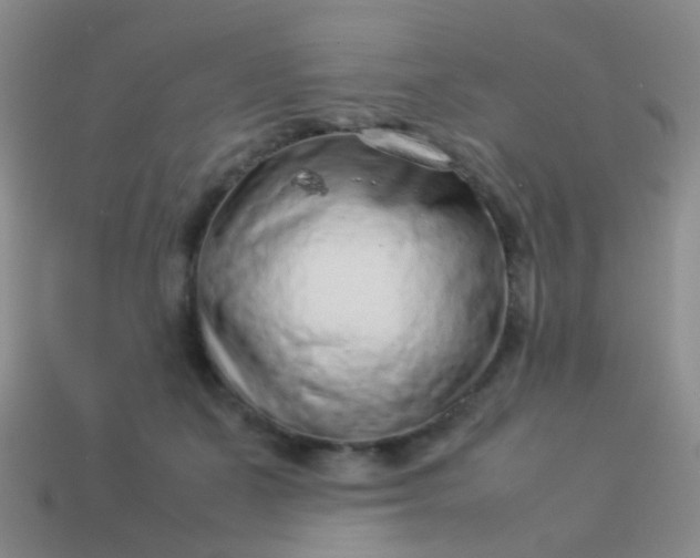 X0000114010511200910161736