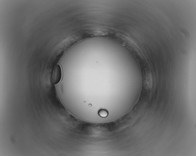 X0000114010512200910161736