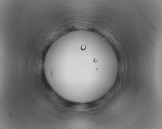 X0000114010513200910161736