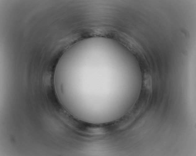 X0000114010514200910161736