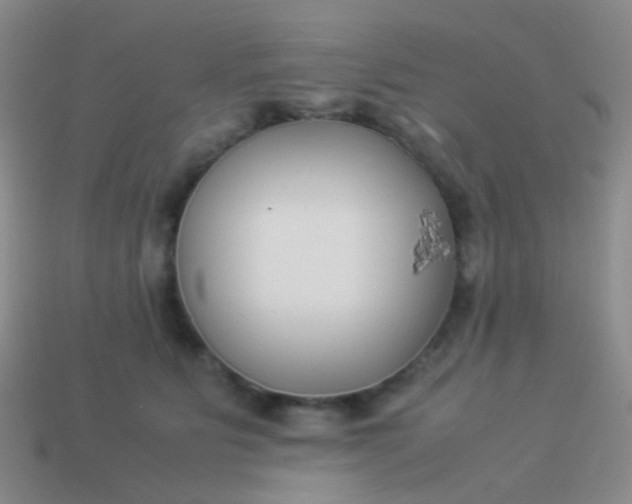 X0000114010515200910161736