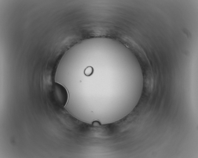 X0000114010516200910161736