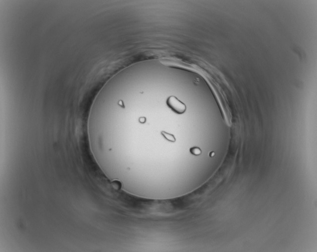 X0000114010517200910161736