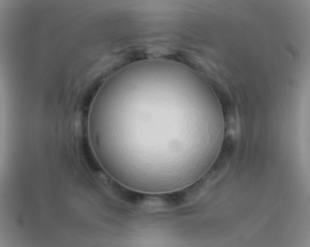 X0000114010519200910161736