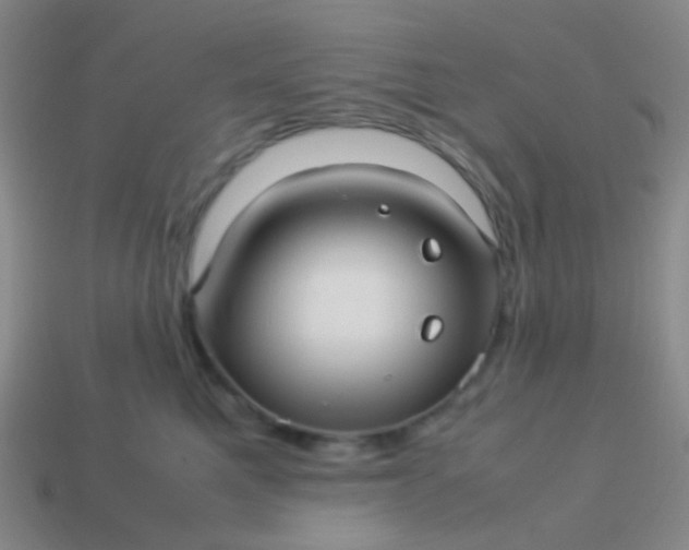 X0000114010521200910161736