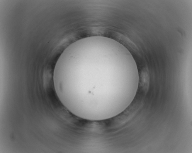 X0000114010522200910161736