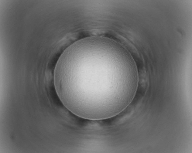 X0000114010523200910161736