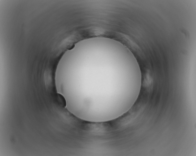 X0000114010524200910161736