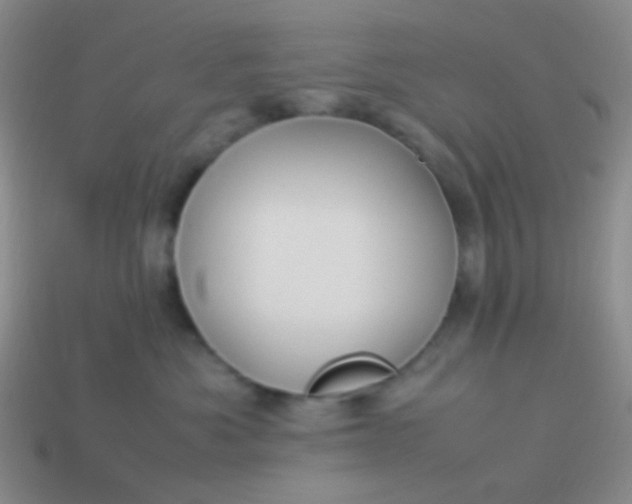 X0000114010525200910161736