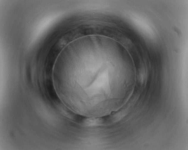 X0000114010526200910161736