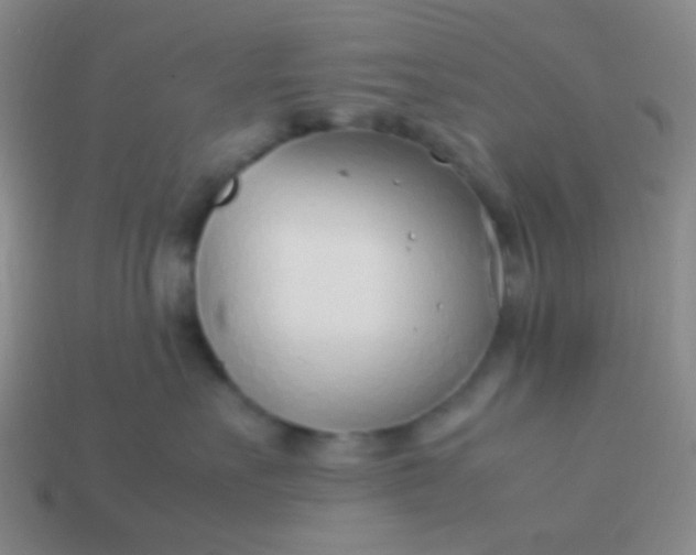 X0000114010527200910161736