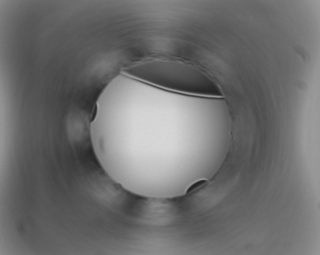 X0000114010528200910161736