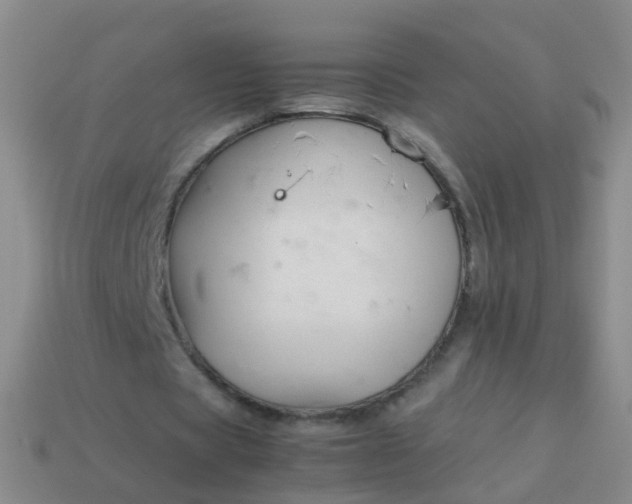 X0000114010529200910161735