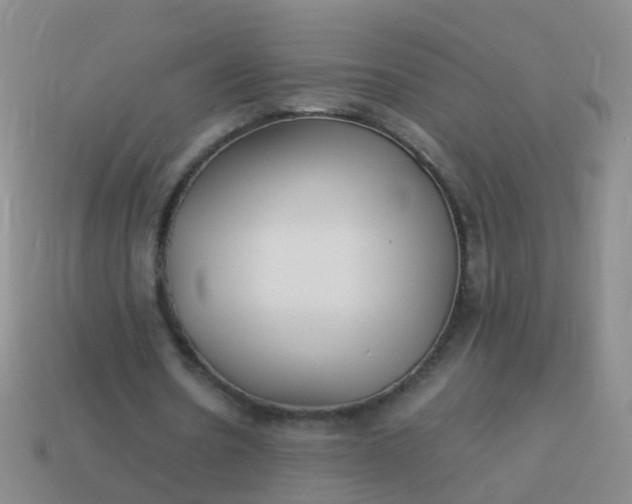 X0000114010530200910161735