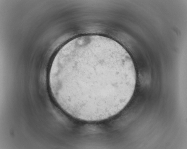 X0000114010534200910161735