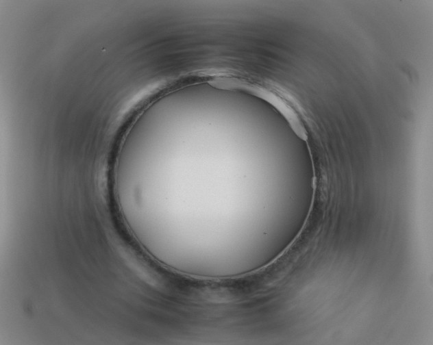 X0000114010535200910161735