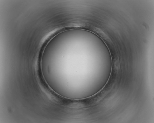 X0000114010536200910161735