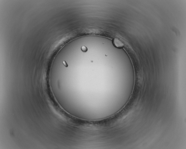 X0000114010538200910161735