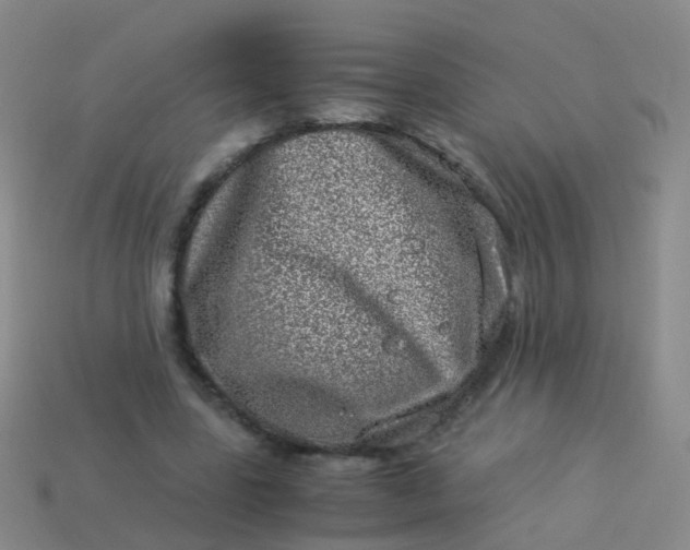 X0000114010539200910161735