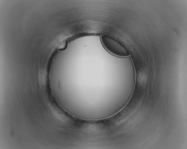 X0000114010540200910161735