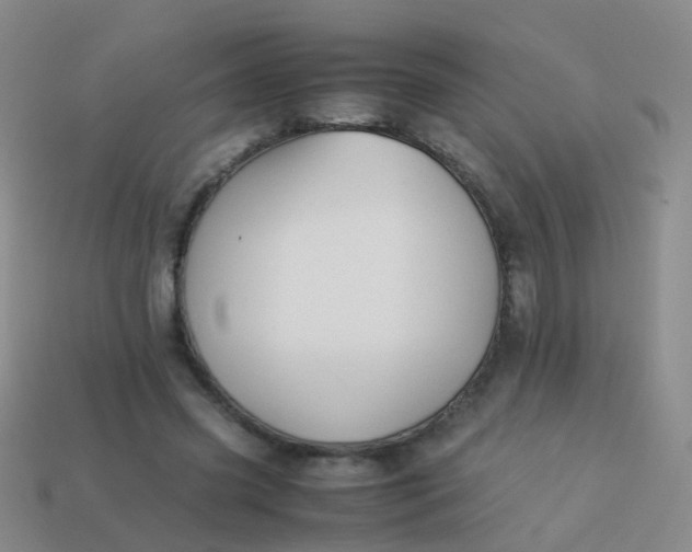 X0000114010541200910161735