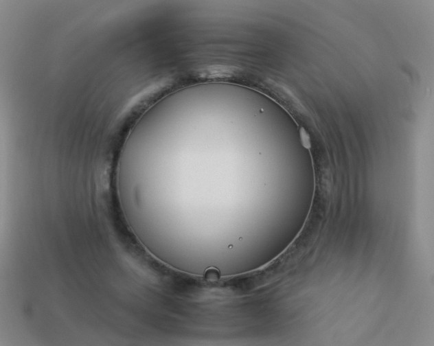 X0000114010543200910161735