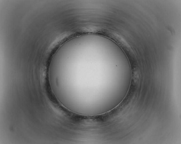 X0000114010544200910161735