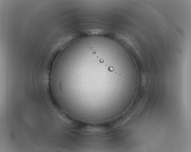 X0000114010545200910161735