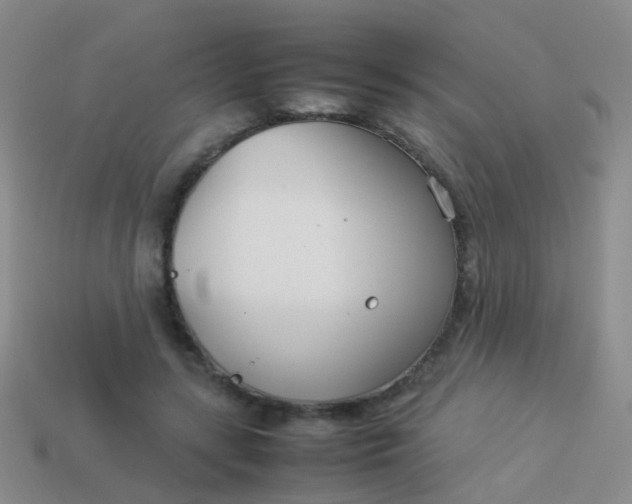 X0000114010547200910161736