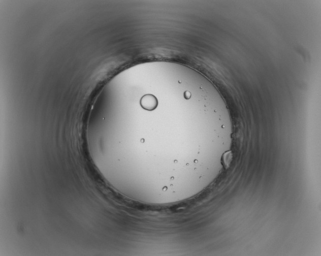 X0000114010548200910161736