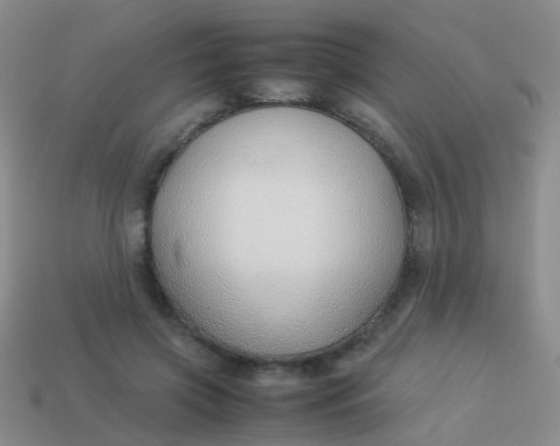 X0000114010549200910161736